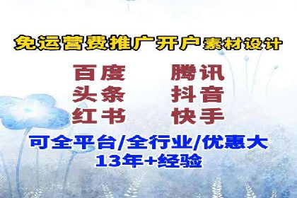 SEM代理助力品牌：案例解析与优化策略